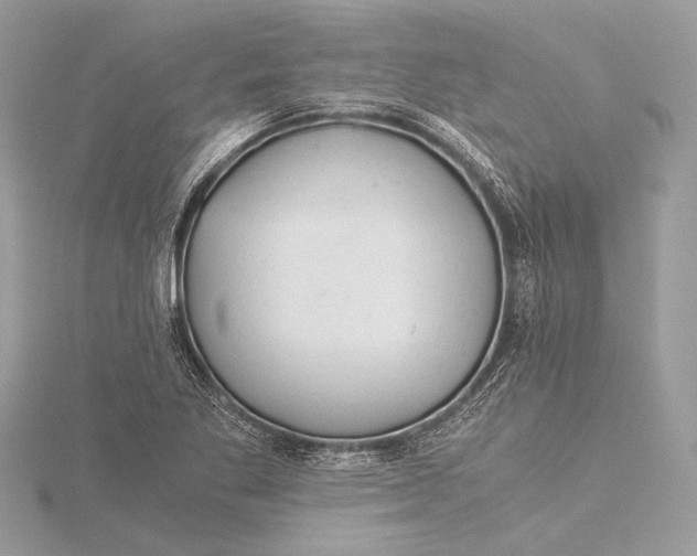 X0000115821269200912041620