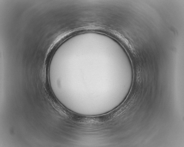 X0000115821270200912041620