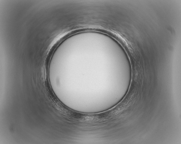 X0000115821271200912041620