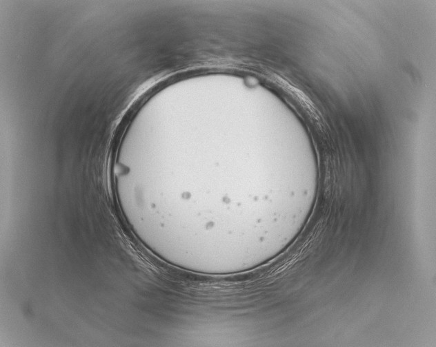 X0000115821272200912041620