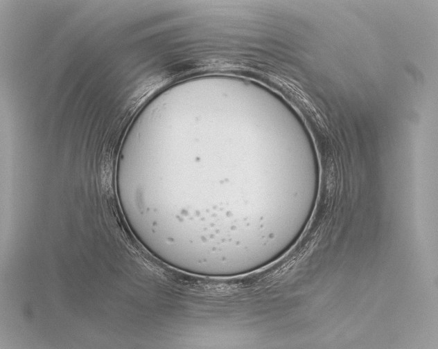 X0000115821273200912041620