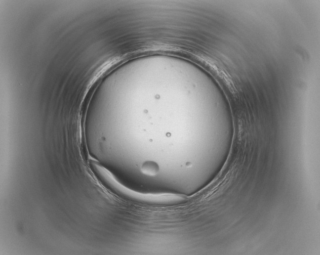 X0000115821274200912041620