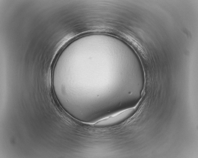 X0000115821275200912041620