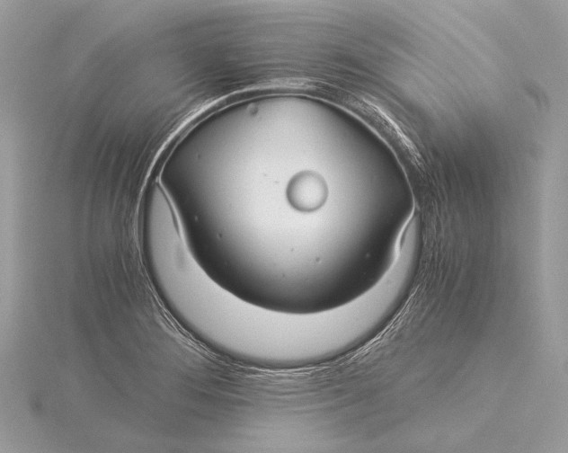 X0000115821276200912041620