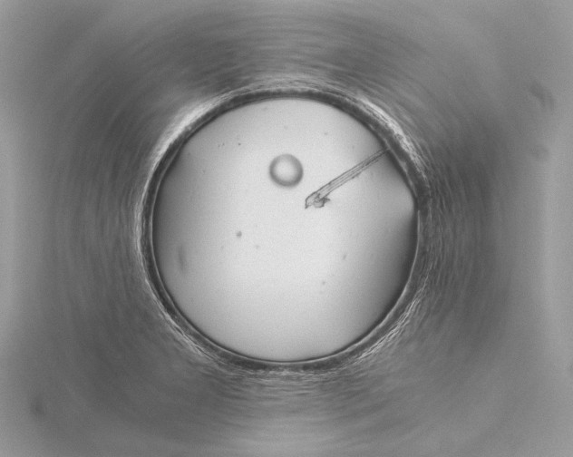 X0000115821277200912041620