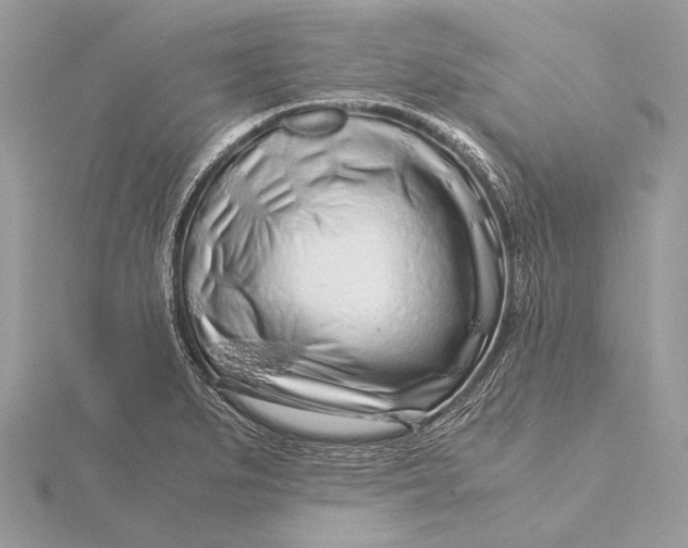 X0000115821279200912041620