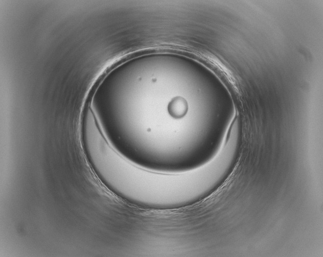 X0000115821280200912041620