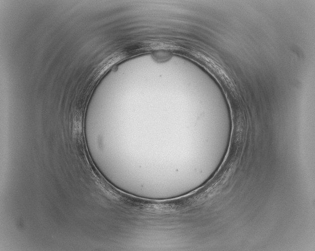 X0000115821281200912041620