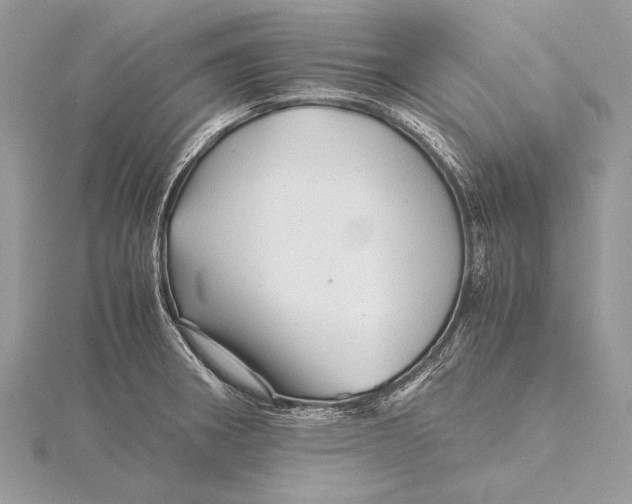 X0000115821282200912041620