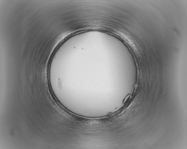 X0000115821283200912041620