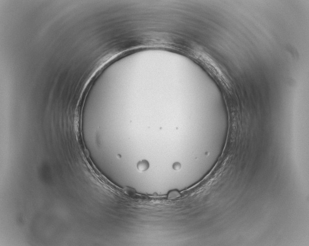 X0000115821284200912041620