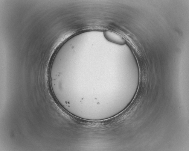 X0000115821285200912041620