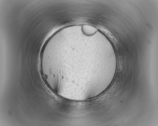 X0000115821286200912041620