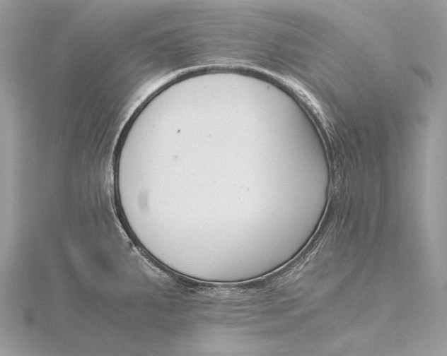 X0000115821287200912041620