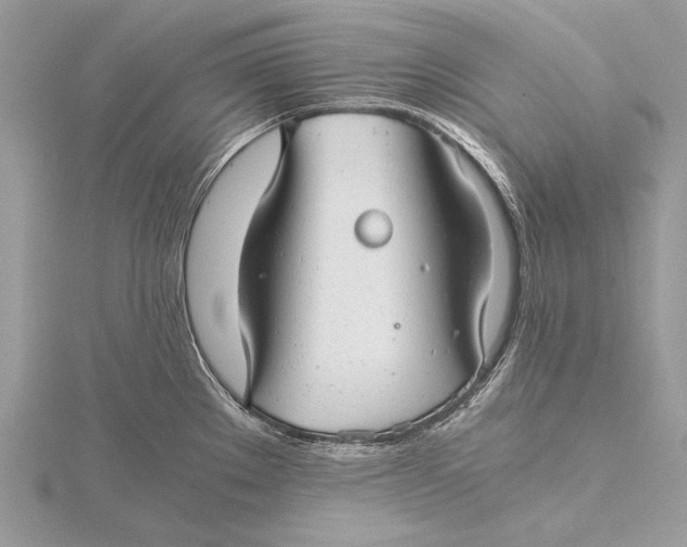 X0000115821289200912041620