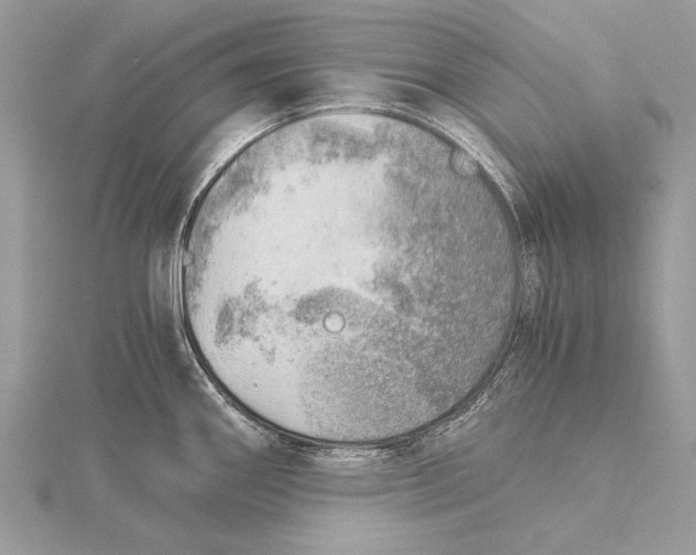 X0000115821290200912041620