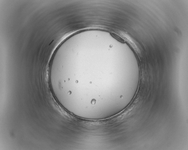 X0000115821292200912041620