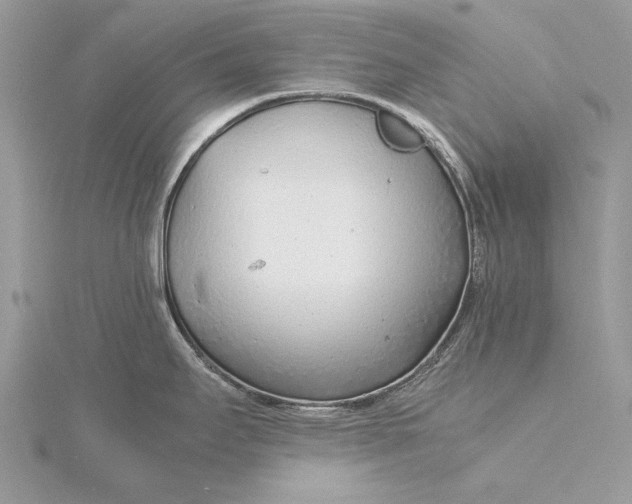 X0000115821295200912041620