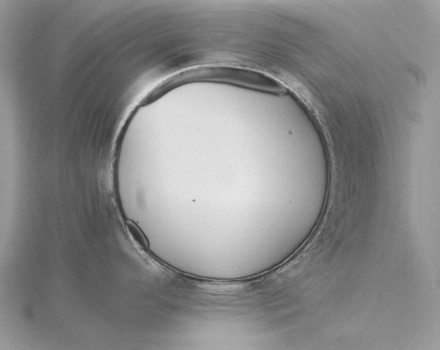 X0000115821296200912041620