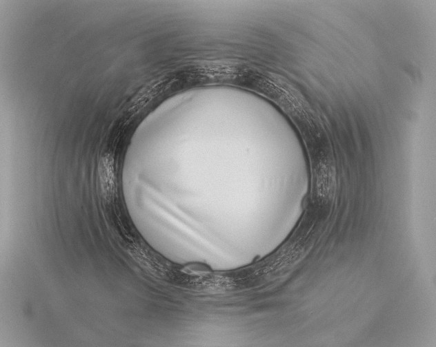 X0000115821298200912041619