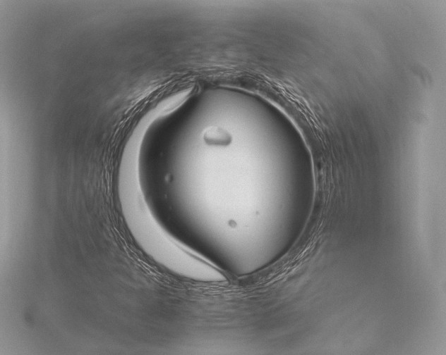 X0000115821301200912041619