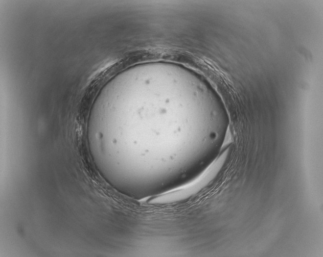 X0000115821302200912041619