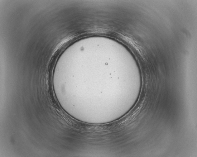 X0000115821307200912041619