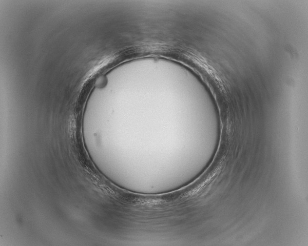 X0000115821309200912041619