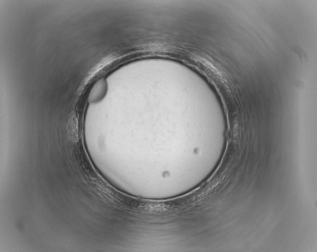 X0000115821310200912041619