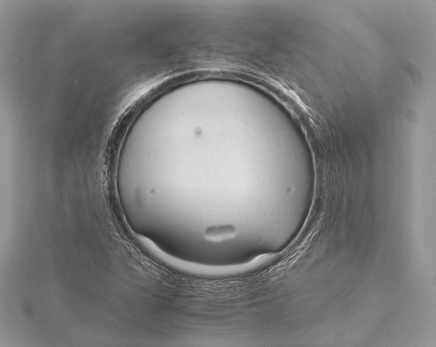 X0000115821311200912041619