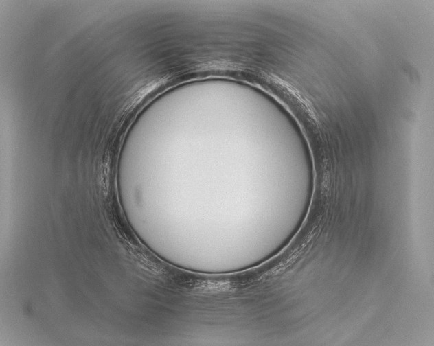 X0000115821313200912041619