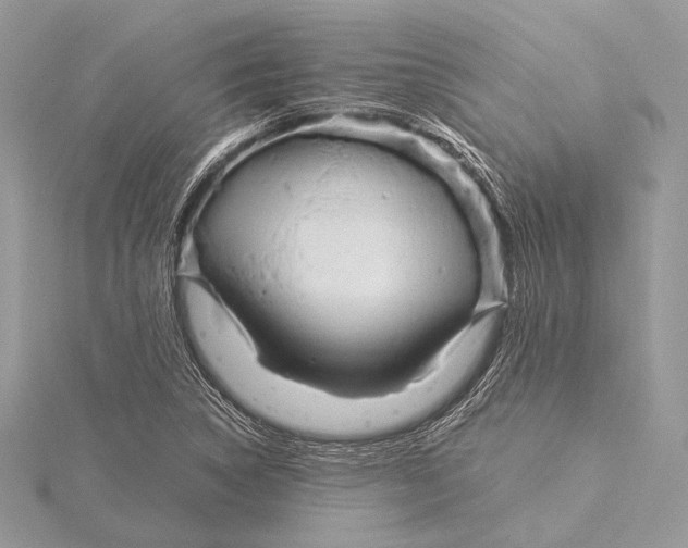 X0000115821314200912041619