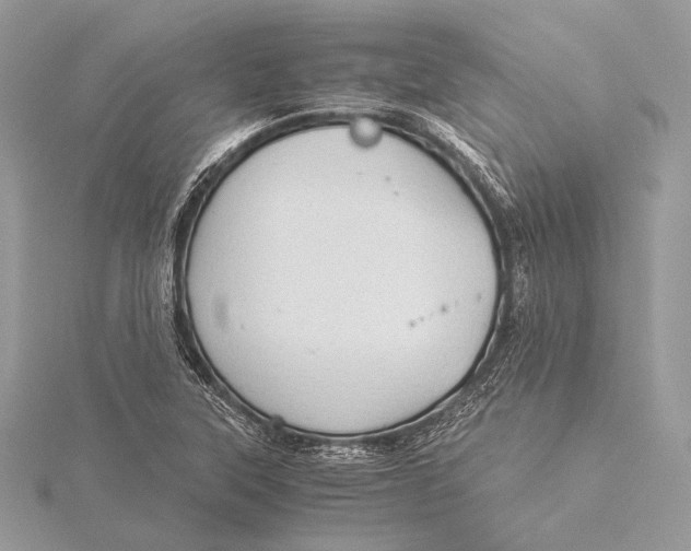 X0000115821315200912041619