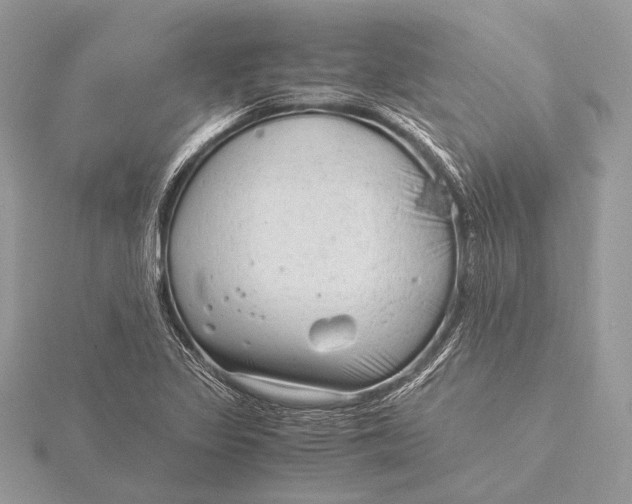 X0000115821317200912041619