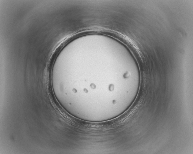 X0000115821318200912041619