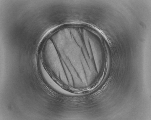 X0000115821319200912041619