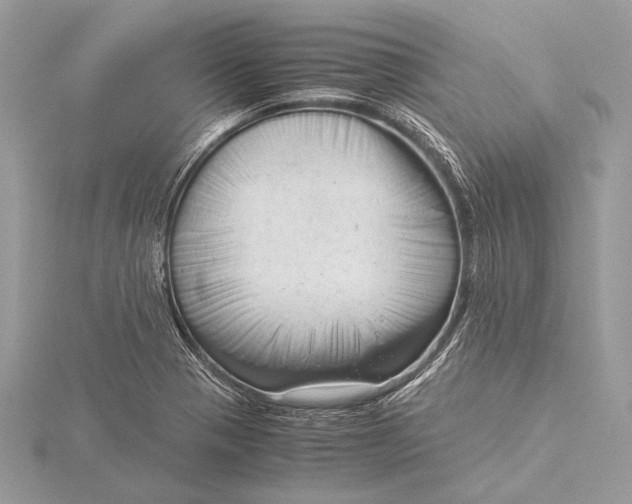 X0000115821321200912041619