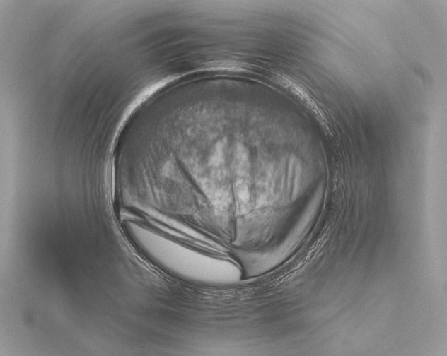 X0000115821323200912041619