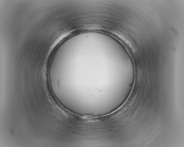 X0000115821325200912041619