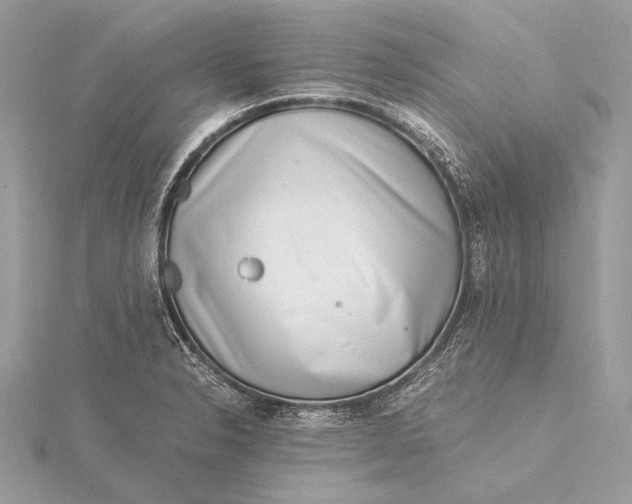 X0000115821326200912041619