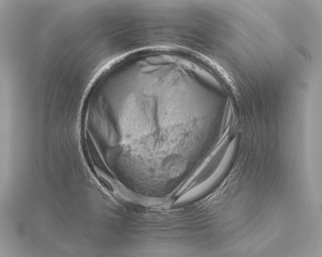 X0000115821327200912041619