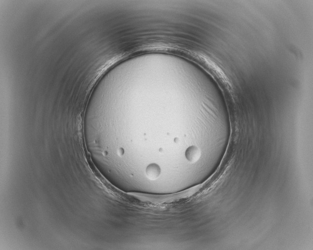 X0000115821329200912041619