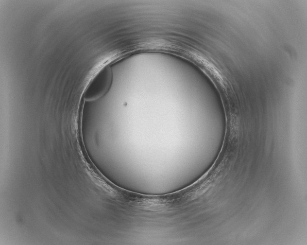 X0000115821330200912041619