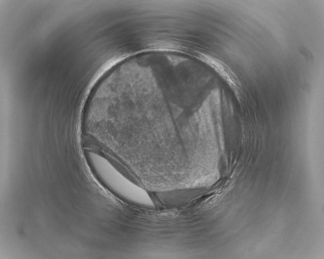 X0000115821331200912041619