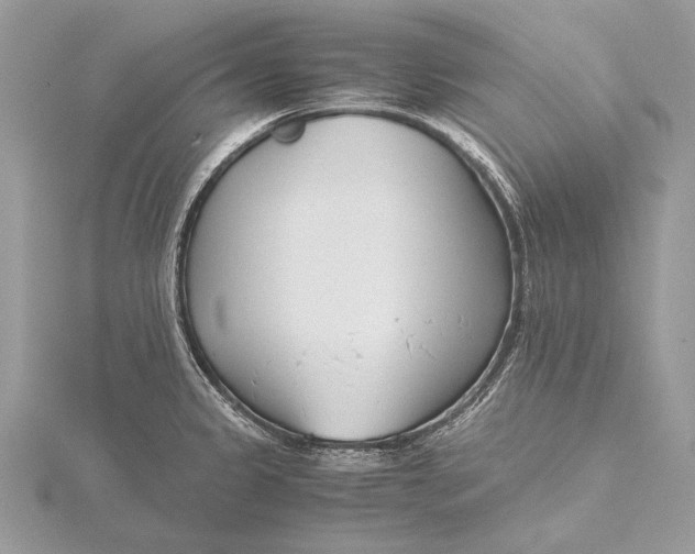 X0000115821333200912041619