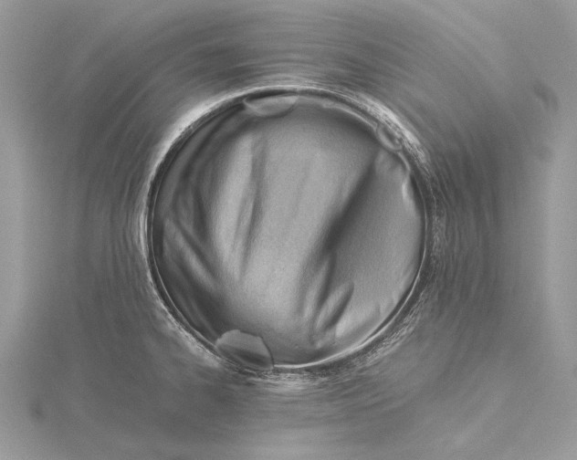 X0000115821334200912041619