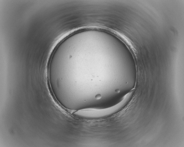 X0000115821335200912041619