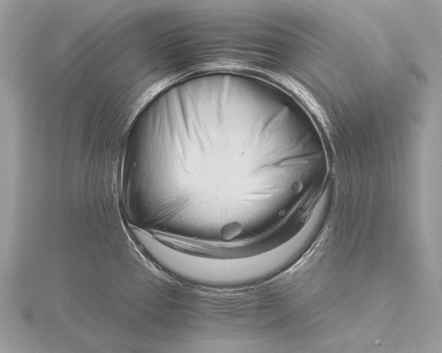 X0000115821337200912041620