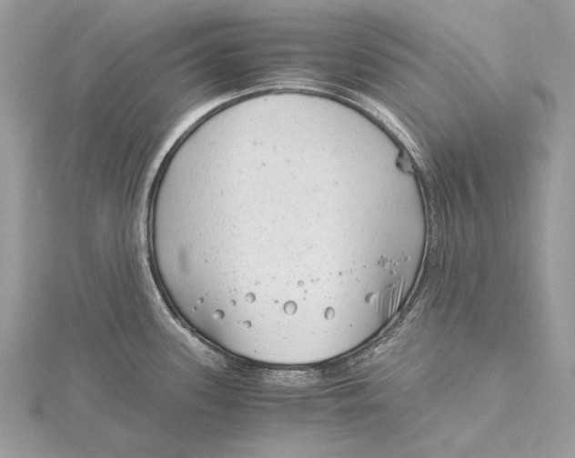 X0000115821339200912041620