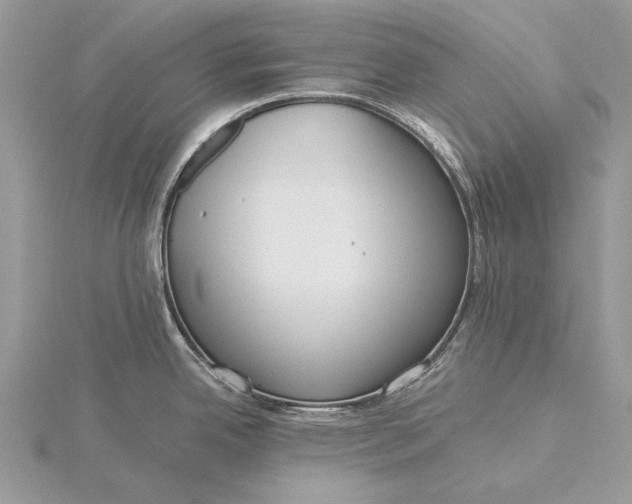 X0000115821342200912041620